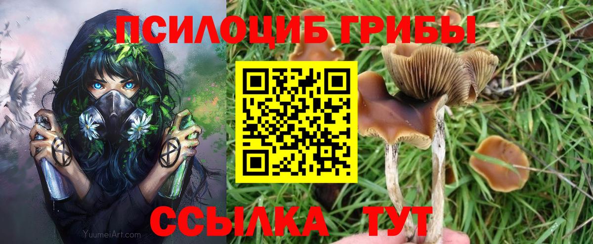 Псилоцибиновые грибы Psilocybine cubensis  Псилоцибиновые грибы MAGIC MUSHROOMS  Новодвинск  Вход с VPN 