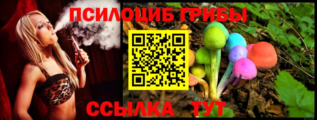 Псилоцибиновые грибы прущие грибы Новодвинск
